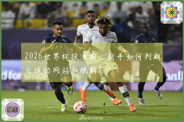 2026世界杯投注前，新手如何判断合适的网站和规则？