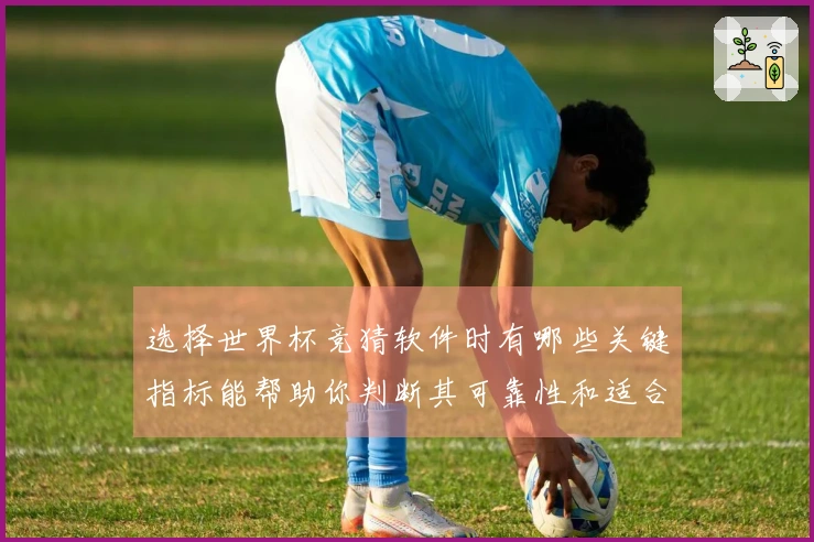 选择世界杯竞猜软件时有哪些关键指标能帮助你判断其可靠性和适合性