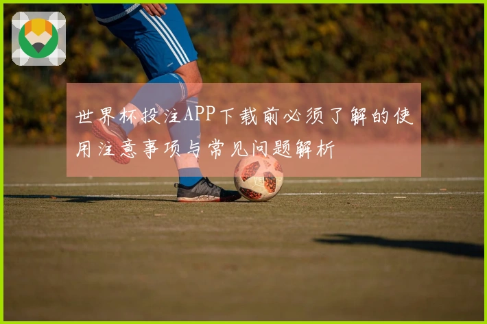 世界杯投注APP下载前必须了解的使用注意事项与常见问题解析