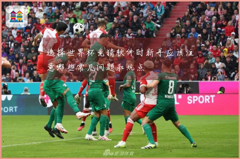 选择世界杯竞猜软件时新手应该注意哪些常见问题和坑点