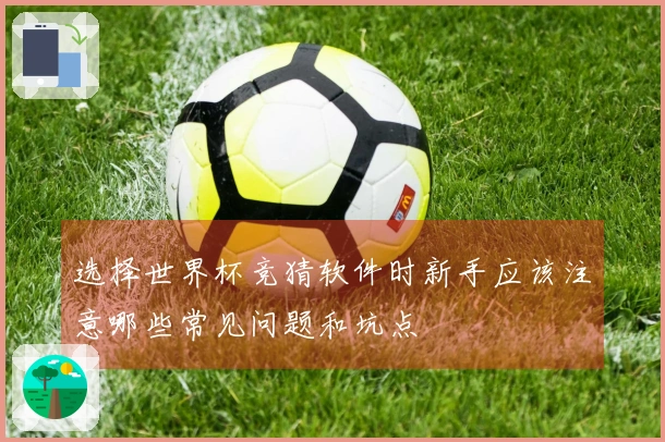 选择世界杯竞猜软件时新手应该注意哪些常见问题和坑点