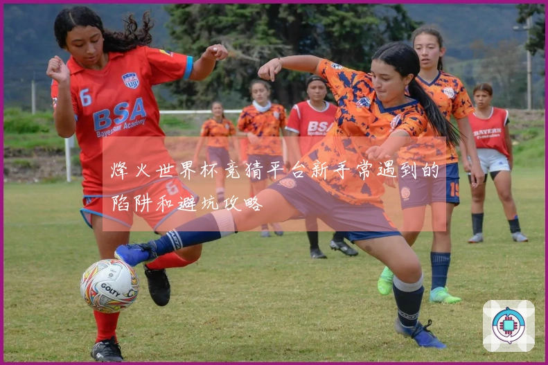 烽火世界杯竞猜平台新手常遇到的陷阱和避坑攻略