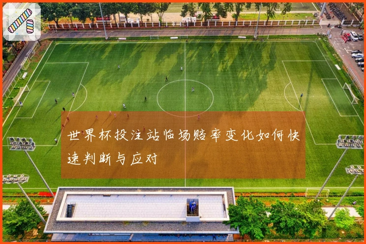 世界杯投注站临场赔率变化如何快速判断与应对