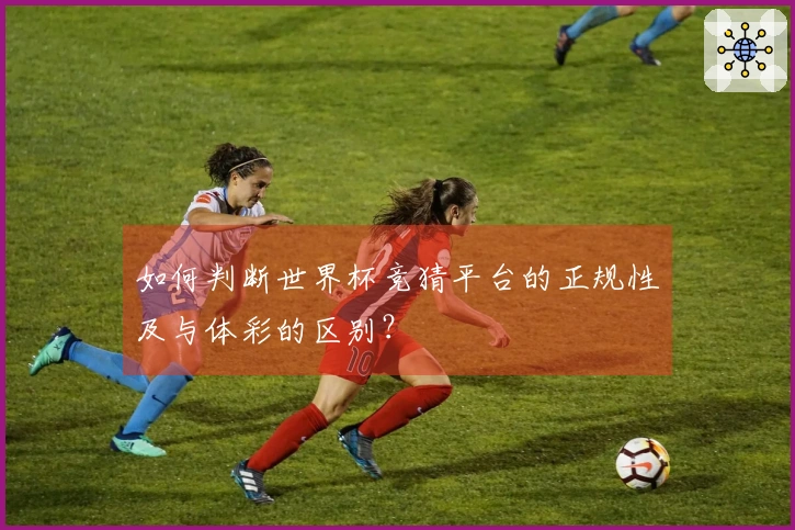 如何判断世界杯竞猜平台的正规性及与体彩的区别？