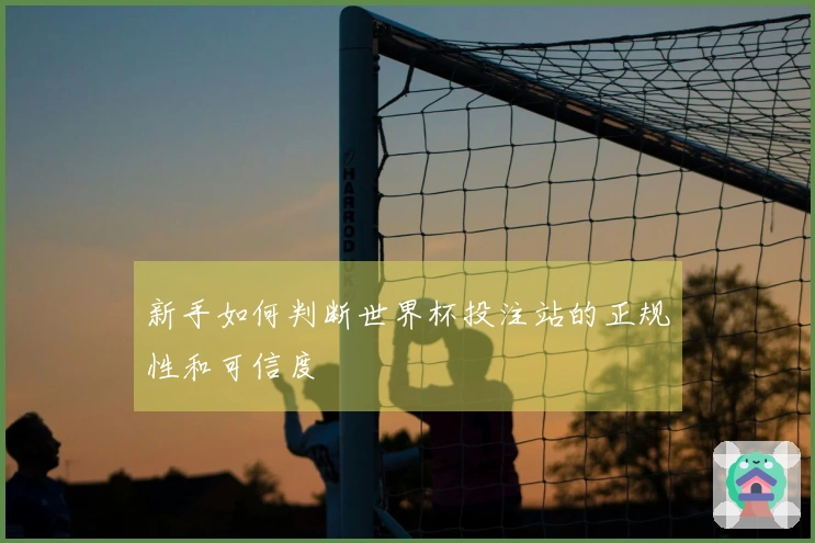 新手如何判断世界杯投注站的正规性和可信度