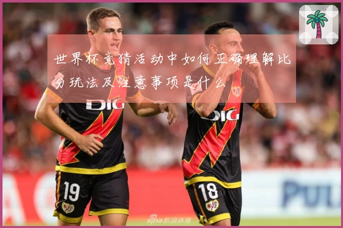世界杯竞猜活动中如何正确理解比分玩法及注意事项是什么