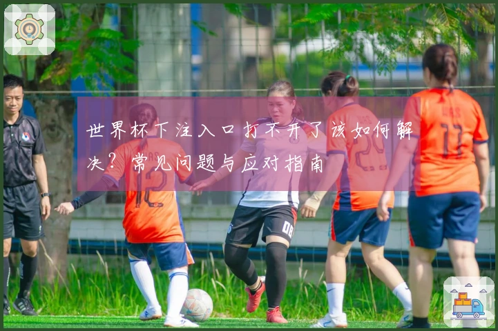 世界杯下注入口打不开了该如何解决？常见问题与应对指南