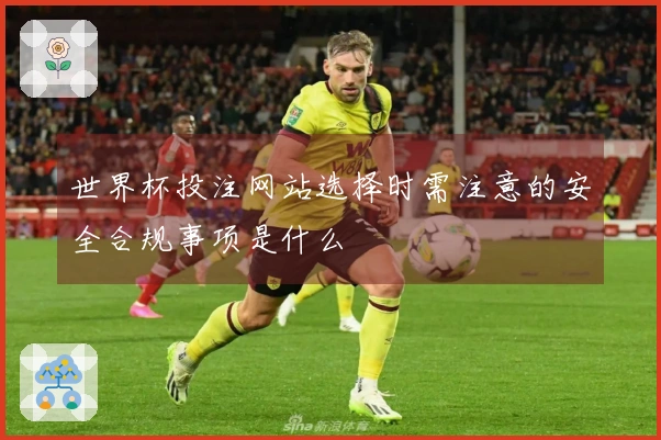 世界杯投注网站选择时需注意的安全合规事项是什么