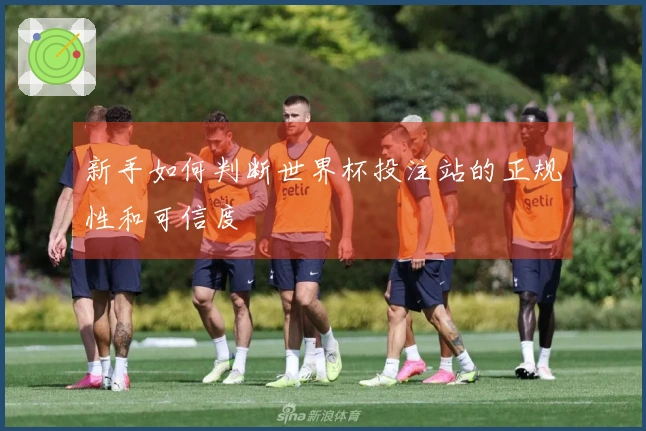新手如何判断世界杯投注站的正规性和可信度
