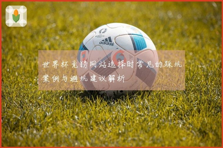 世界杯竞猜网站选择时常见的踩坑案例与避坑建议解析