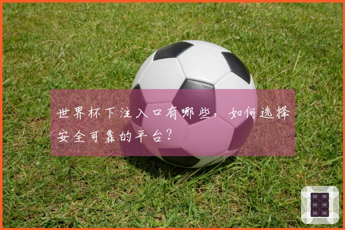 世界杯下注入口有哪些，如何选择安全可靠的平台？