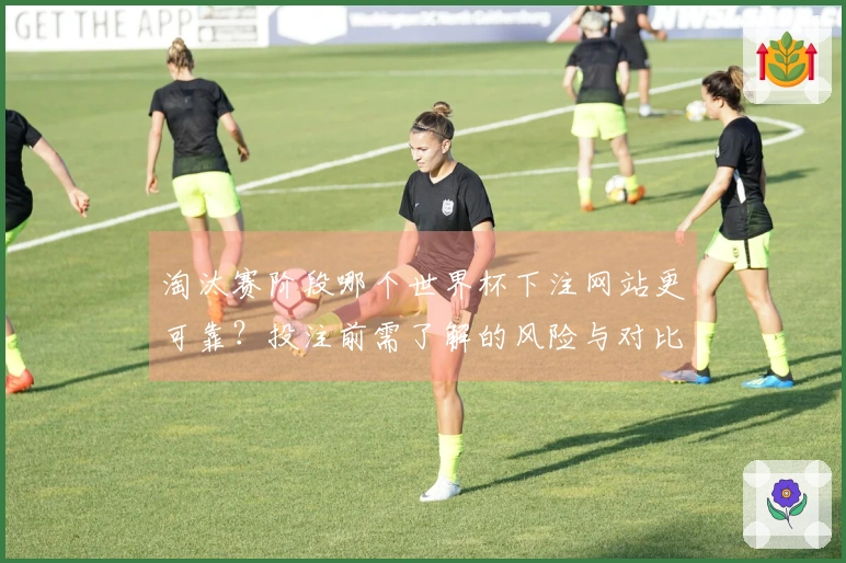淘汰赛阶段哪个世界杯下注网站更可靠？投注前需了解的风险与对比分析
