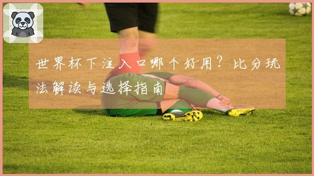 世界杯下注入口哪个好用？比分玩法解读与选择指南