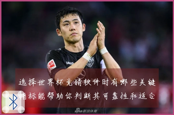 选择世界杯竞猜软件时有哪些关键指标能帮助你判断其可靠性和适合性