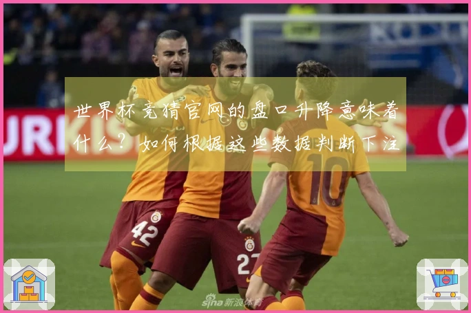 世界杯竞猜官网的盘口升降意味着什么？如何根据这些数据判断下注策略？