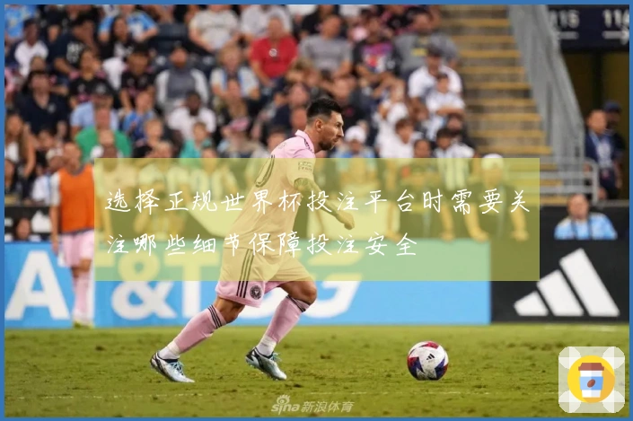 选择正规世界杯投注平台时需要关注哪些细节保障投注安全